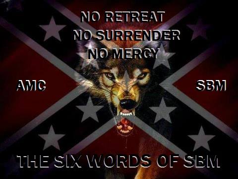 confederate flag and wolf